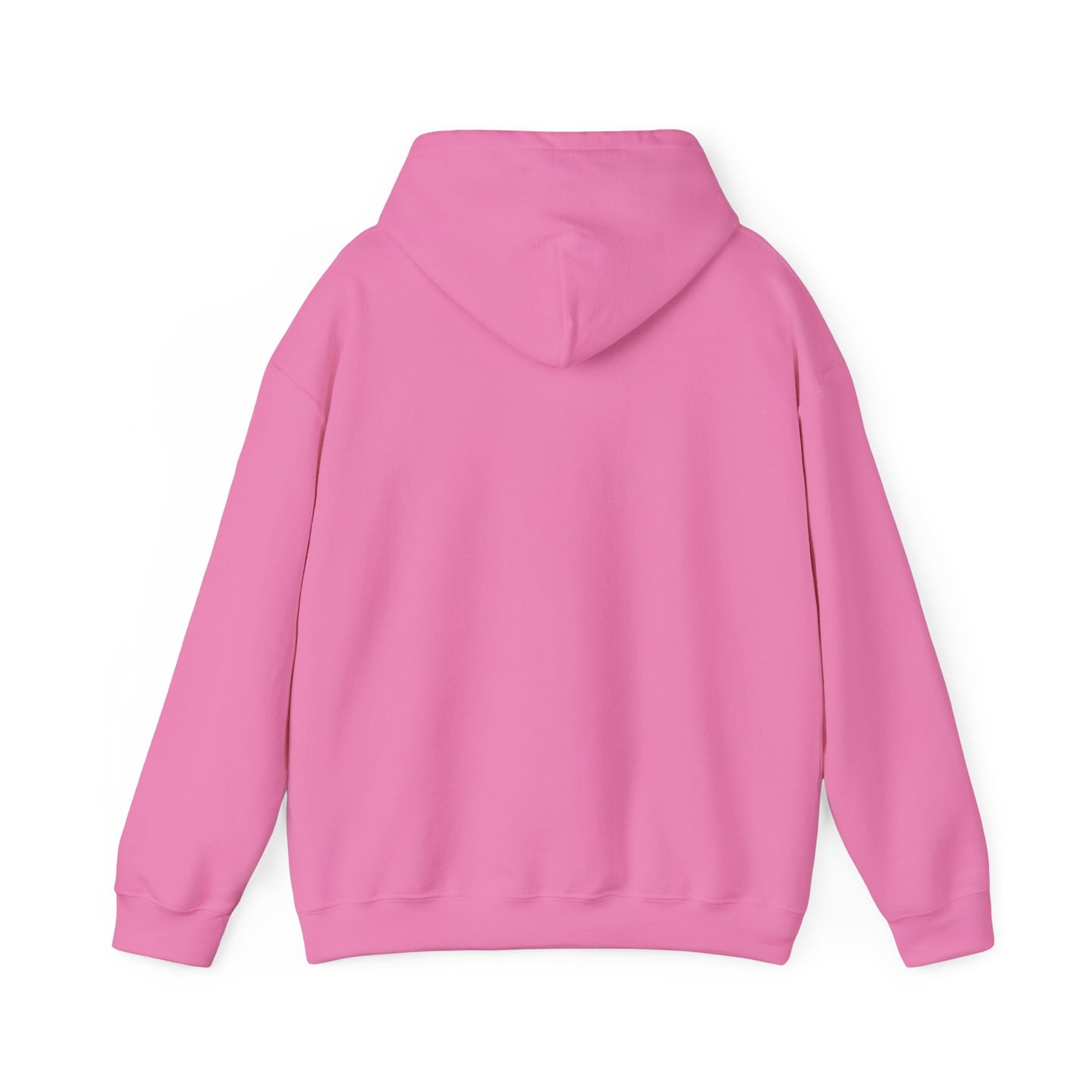 Sundaii Logo Hoodie