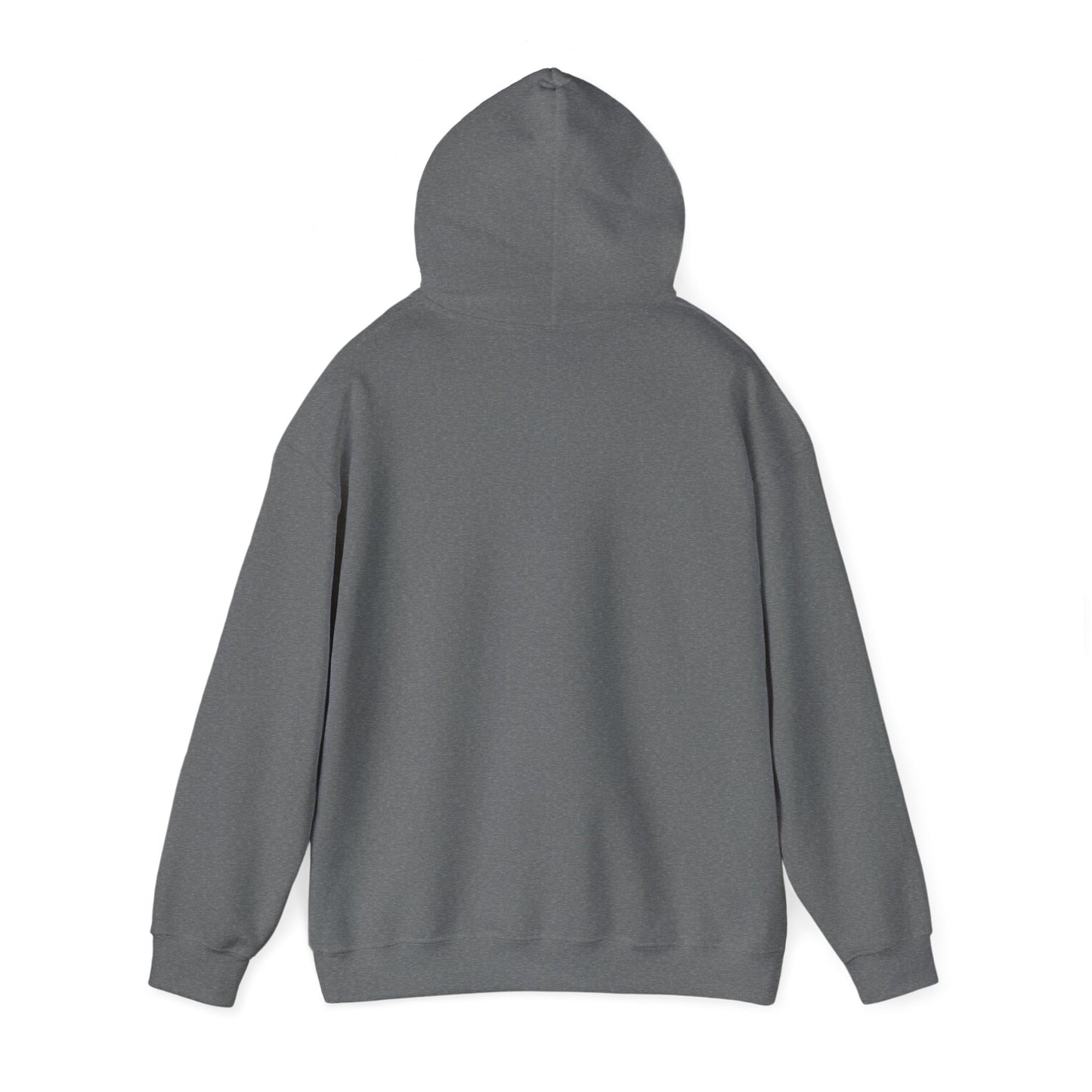Sundaii Logo Hoodie