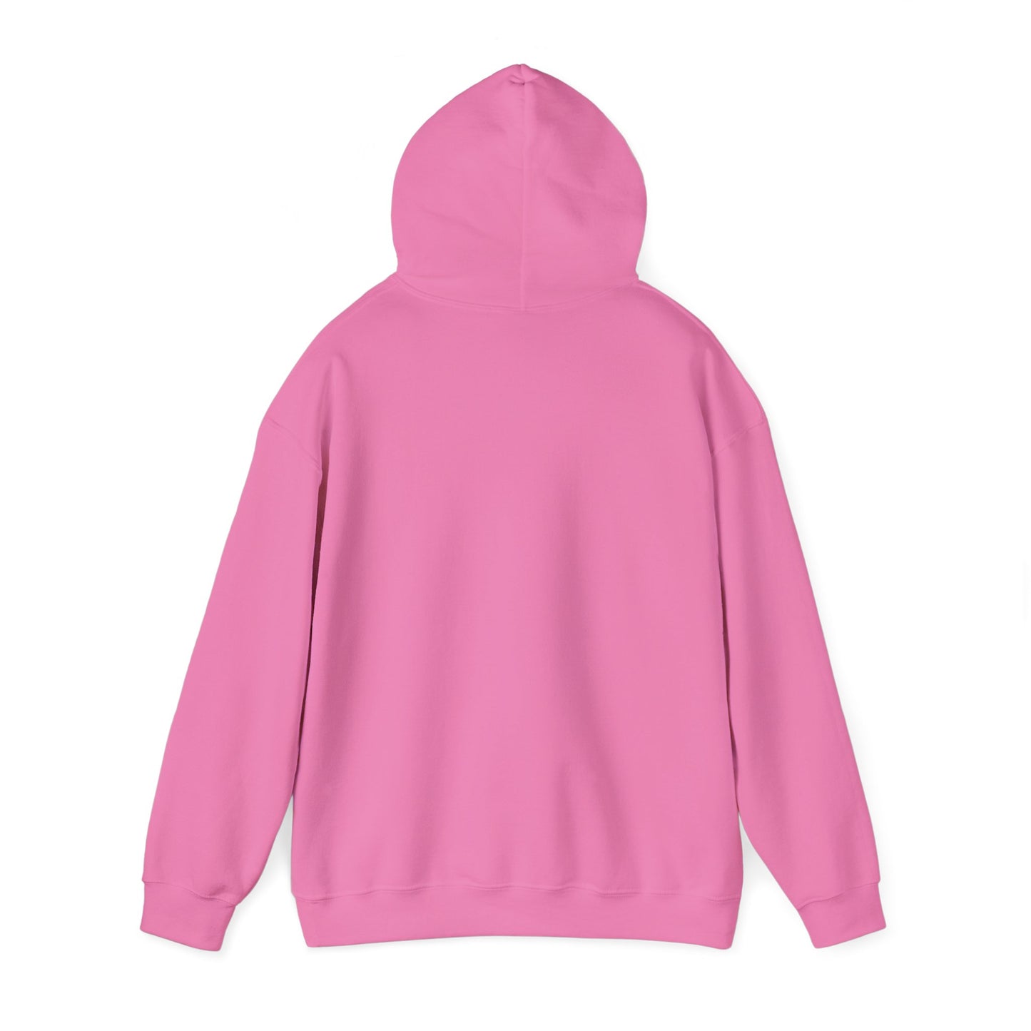 Sundaii Logo Hoodie